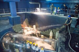 aep-immagine.acquario-di-roma